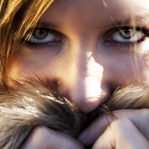 Kalle Pettersson, Photographer Kalle Pettersson, Photographer